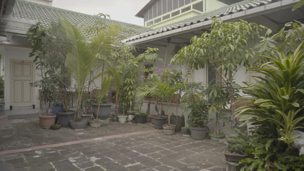 Teras Belakang